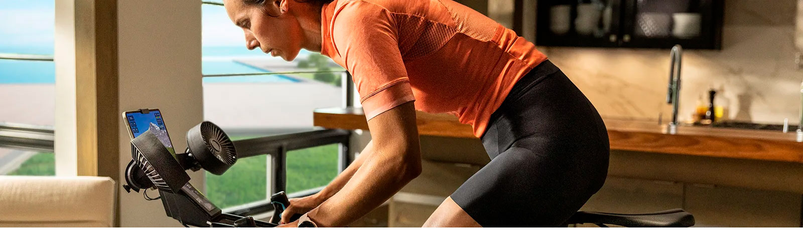 Відчуття справжньої поїздки 010-02534-61 зображення