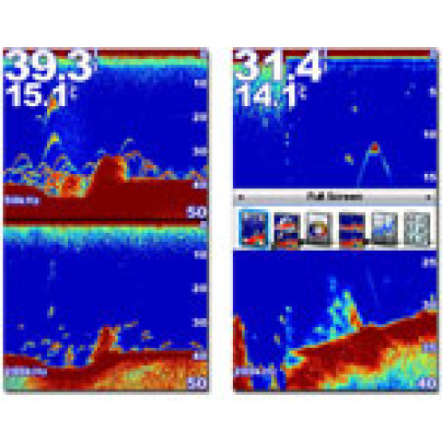 Ехолот Fishfinder 560c 010-01197-02