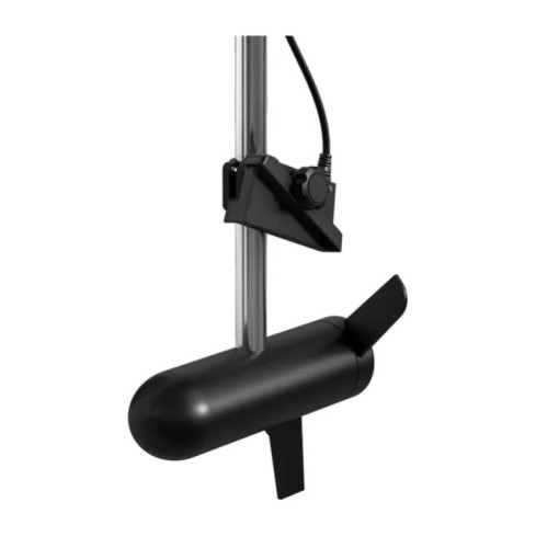Трансдюсер LiveScope™ Plus LVS34 010-02706-10