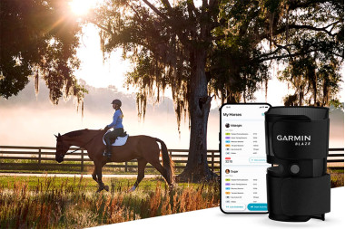 Garmin представляє систему Blaze для контролю здоров'я коней