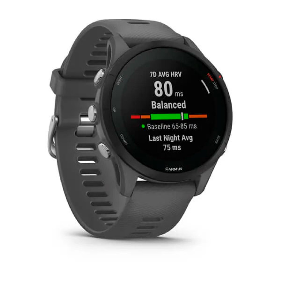 Forerunner® 255 Slate Gray темно-сірий 010-02641-10