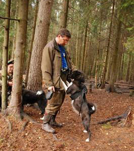 Garmin Astra - GPS-система слежения за собаками для охотников и спортсменов