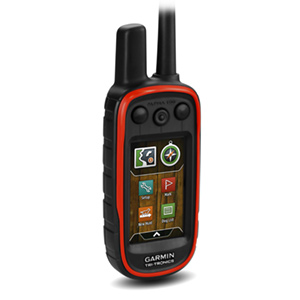 Alpha® 100 з GPS-нашийником TT 15 mini